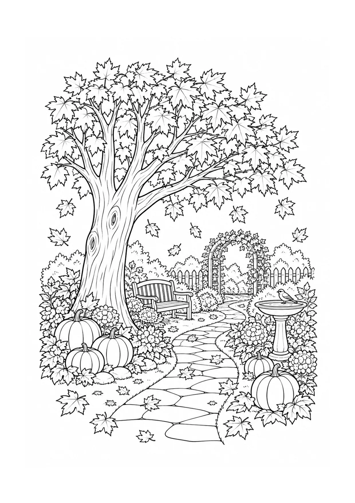 Maple Garden in Autumn coloring page: An autumn maple garden frames a winding path with redrawn leaves, a bench, acorns, and layered tree branches.